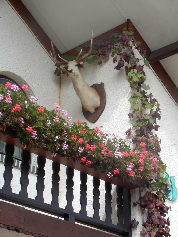 Gasthof Lederhose Diepenbeek Extérieur photo